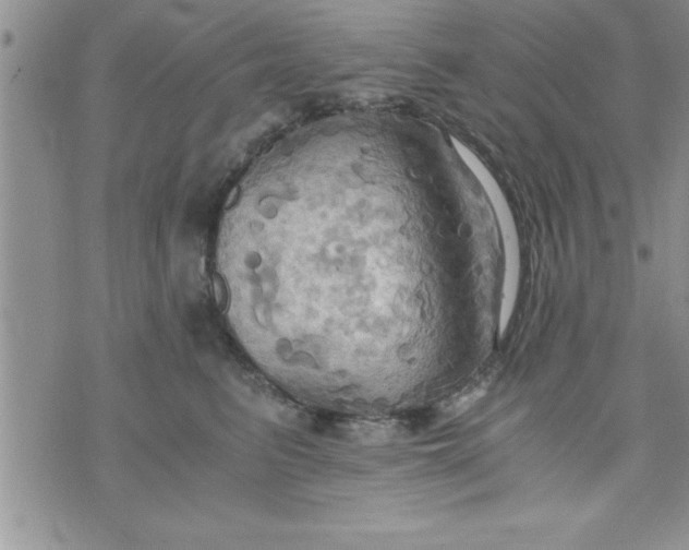 X0000075890615200610062054