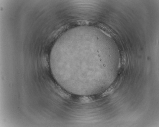 X0000075890616200610062054