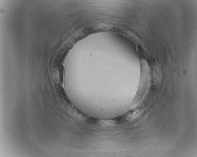 X0000075890617200610062054