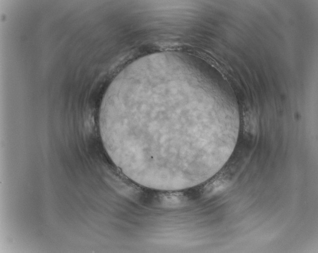 X0000075890618200610062054