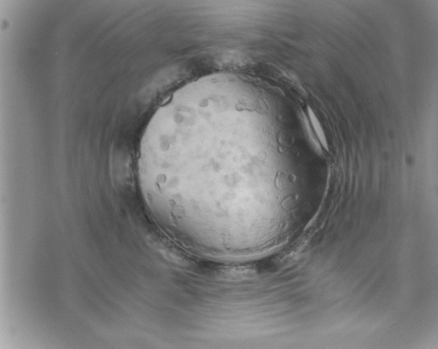 X0000075890619200610062054