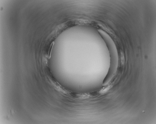 X0000075890621200610062054