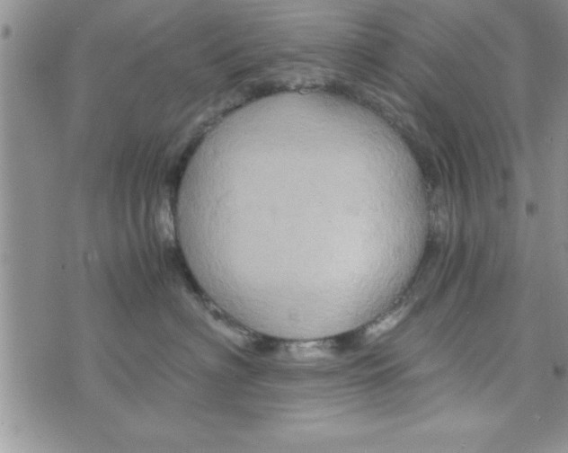 X0000075890622200610062054