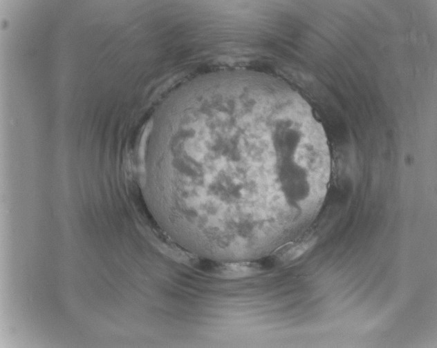 X0000075890623200610062054