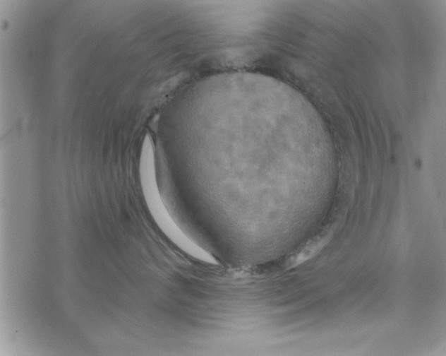 X0000075890624200610062054