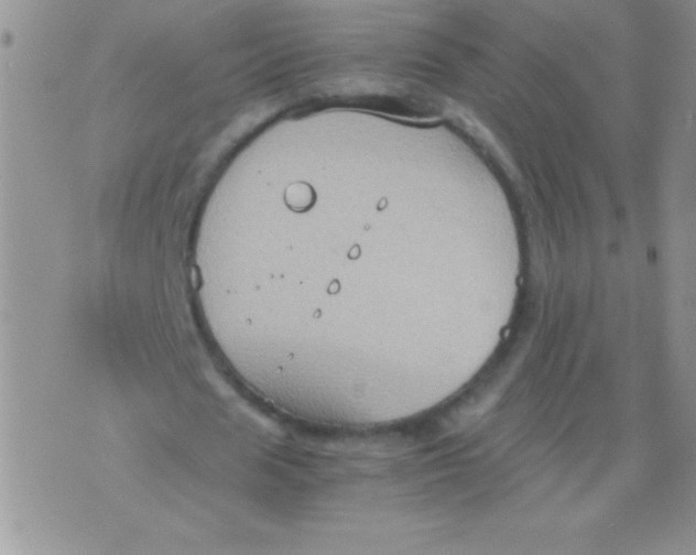 X0000075890625200610062053