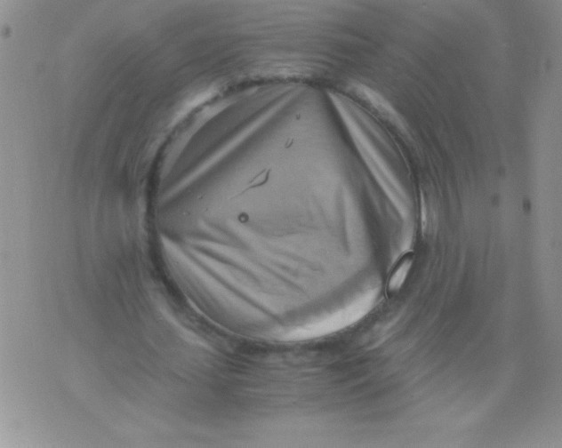 X0000075890627200610062053