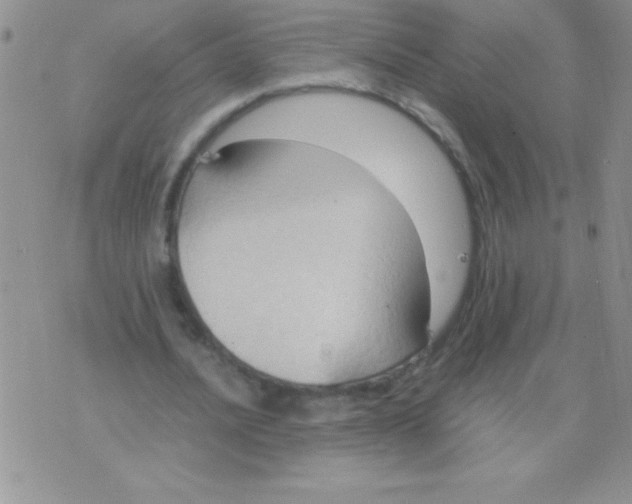 X0000075890628200610062053