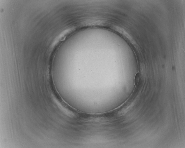 X0000075890629200610062053