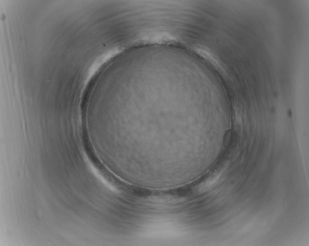 X0000075890630200610062054