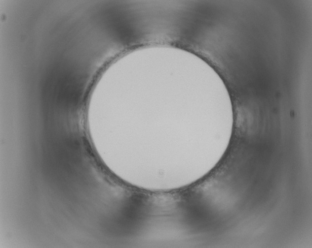 X0000075890632200610062054