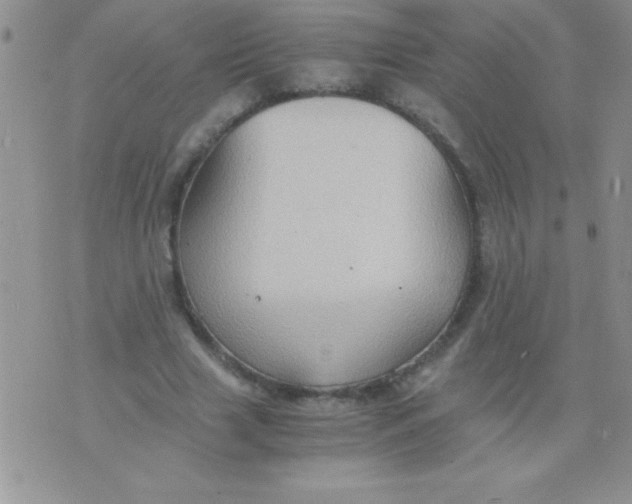 X0000075890633200610062054