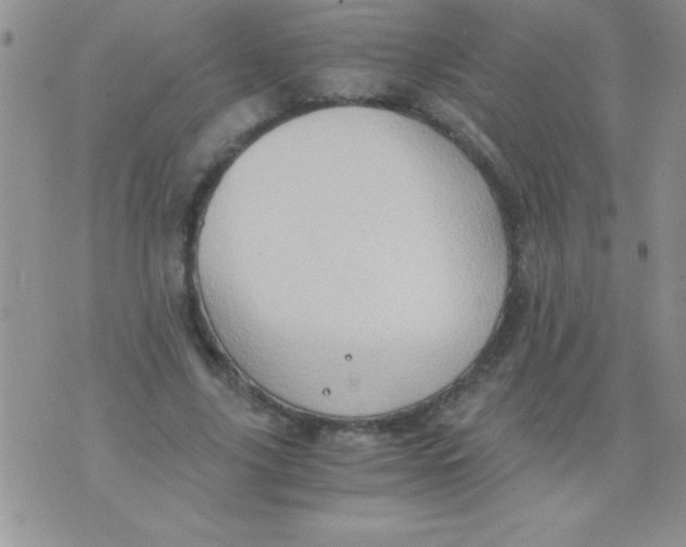 X0000075890635200610062054