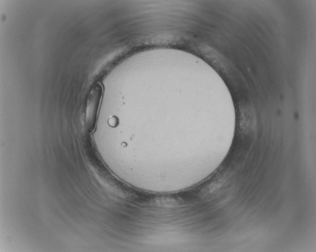 X0000075890636200610062054