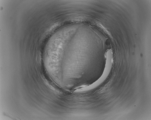 X0000075890637200610062054