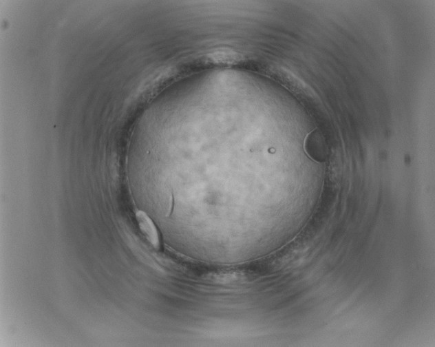 X0000075890639200610062054