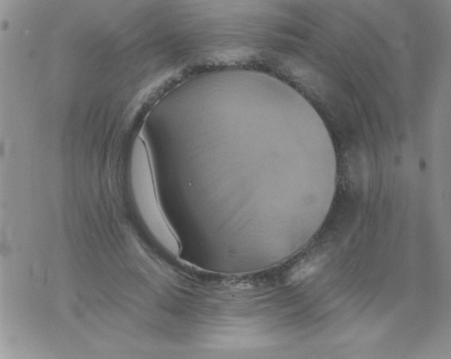 X0000075890640200610062054