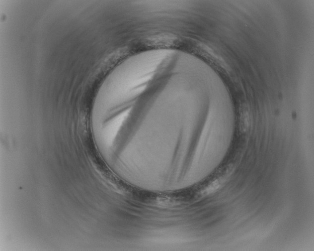 X0000075890641200610062054