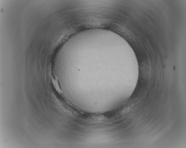 X0000075890642200610062054