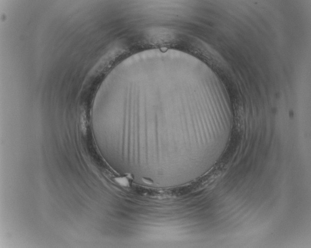 X0000075890644200610062054