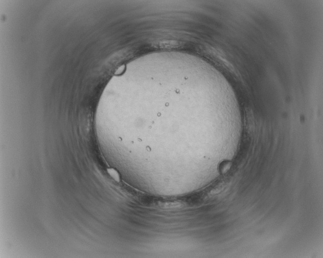 X0000075890645200610062054