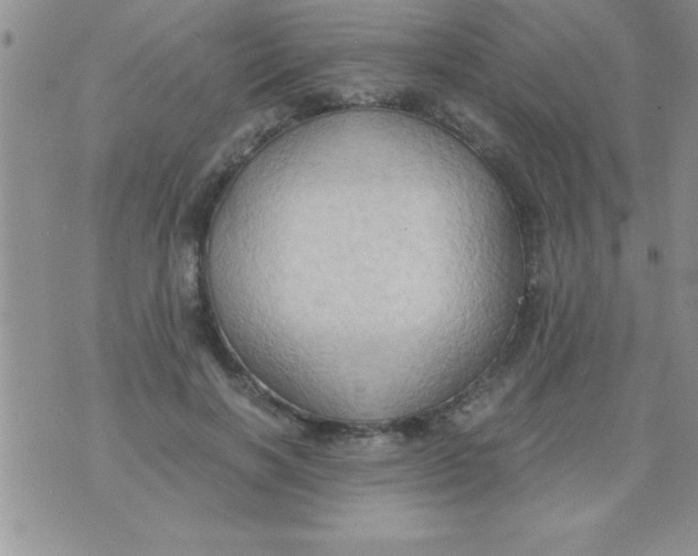 X0000075890646200610062054