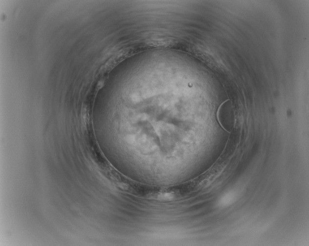 X0000075890647200610062054