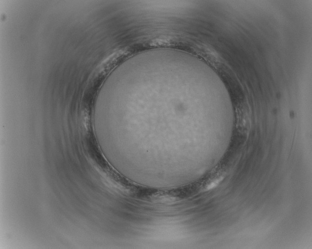 X0000075890648200610062054