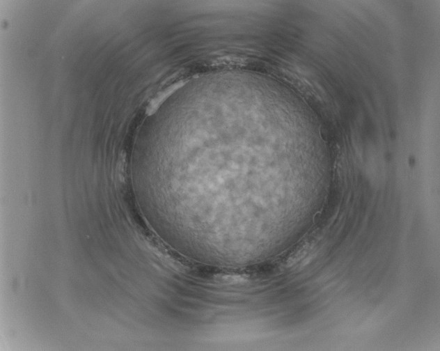 X0000075890649200610062054