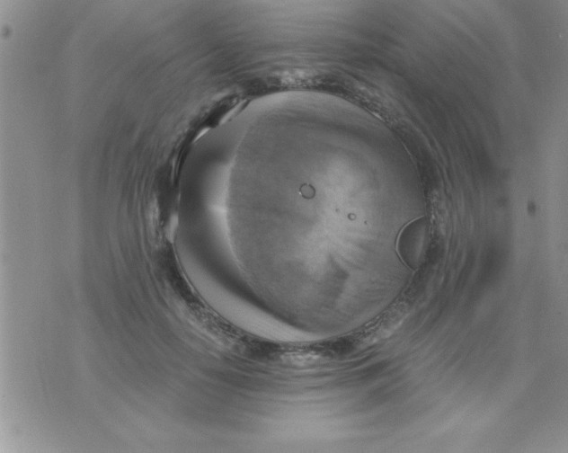 X0000075890650200610062054