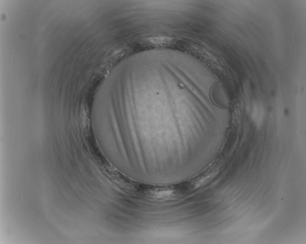 X0000075890651200610062054