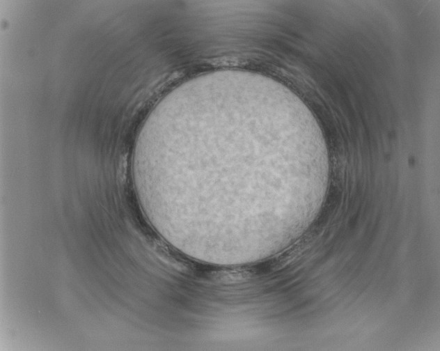 X0000075890652200610062054