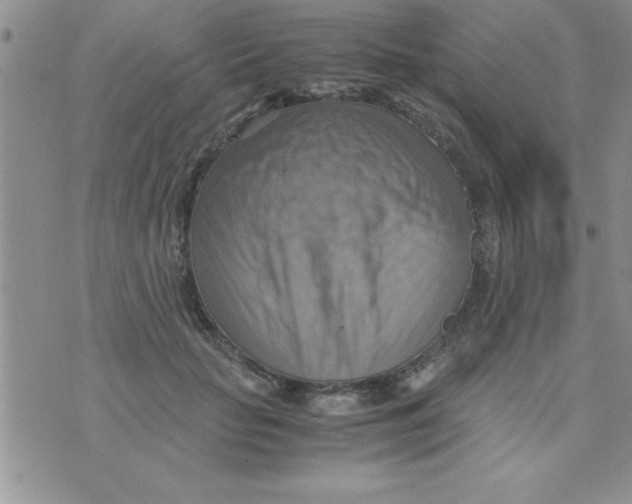 X0000075890653200610062054