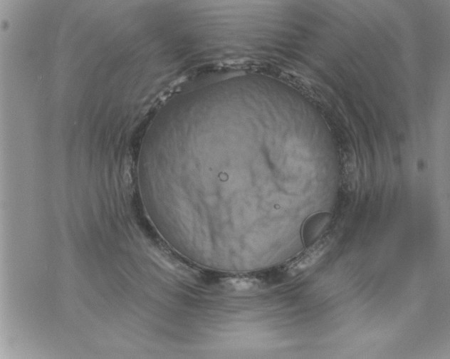 X0000075890654200610062054