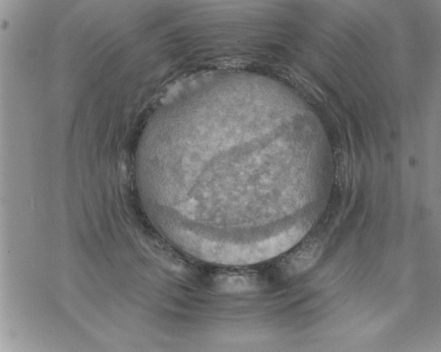 X0000075890655200610062054