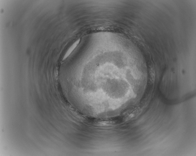 X0000075890657200610062054