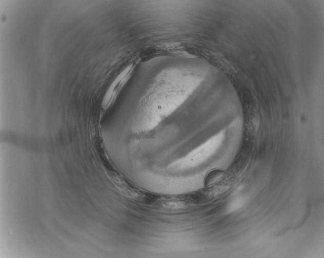 X0000075890658200610062054