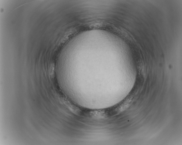 X0000075890660200610062054