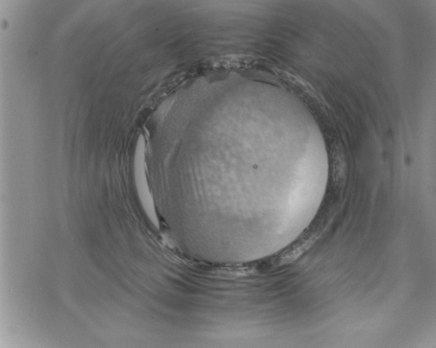 X0000075890661200610062054