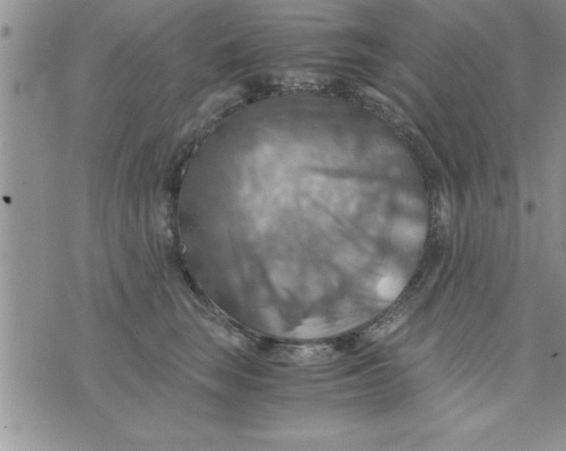 X0000075890663200610062054