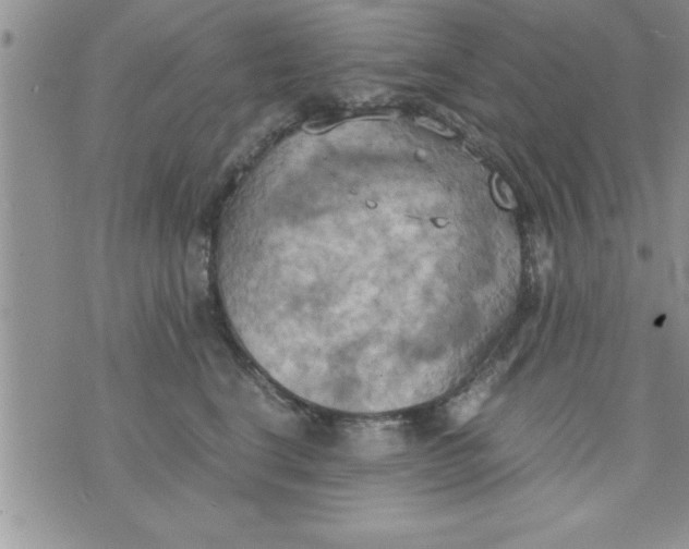 X0000075890664200610062054