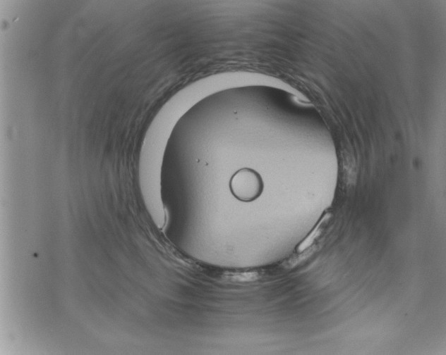 X0000075890665200610062054