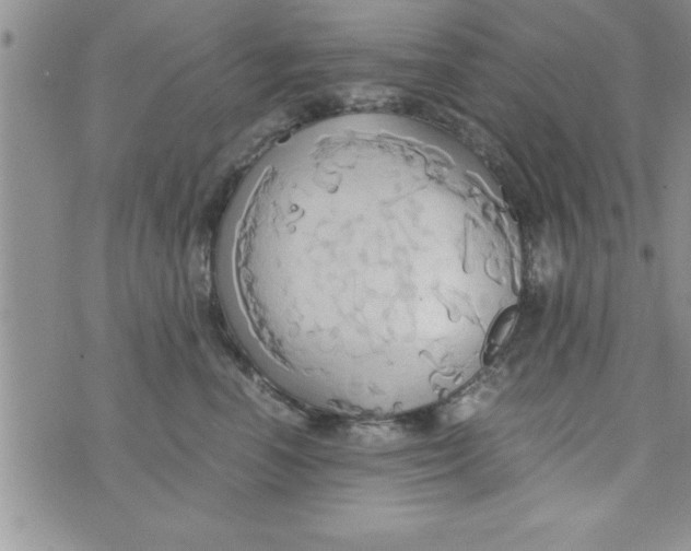 X0000075890666200610062054