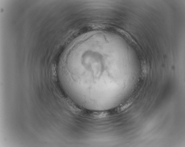 X0000075890667200610062054