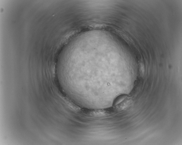 X0000075890668200610062054