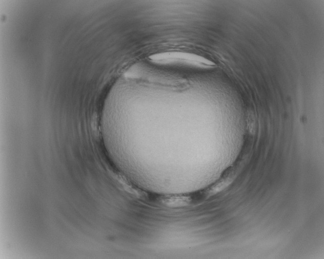 X0000075890670200610062054