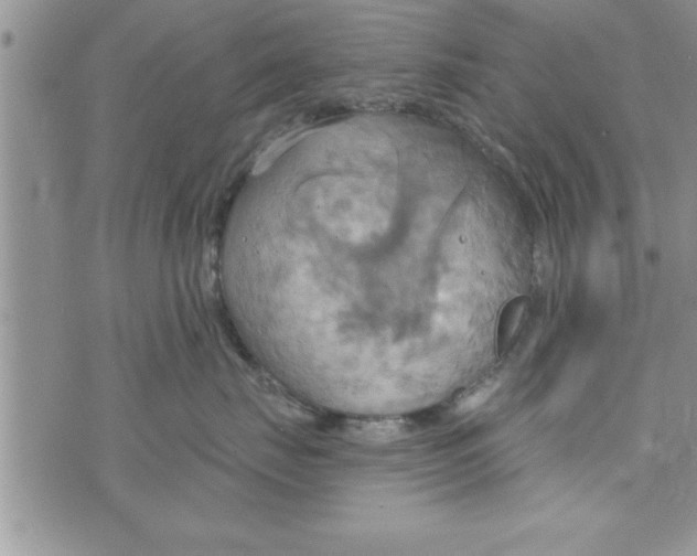 X0000075890671200610062054