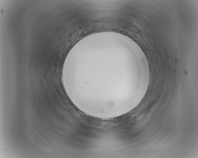 X0000075890672200610062054