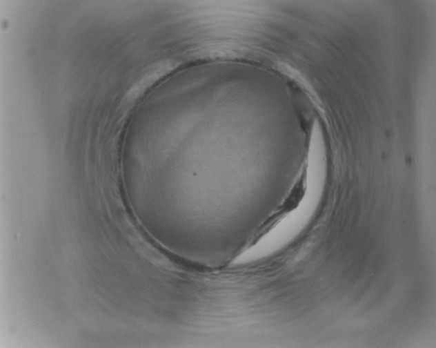 X0000075890673200610062053