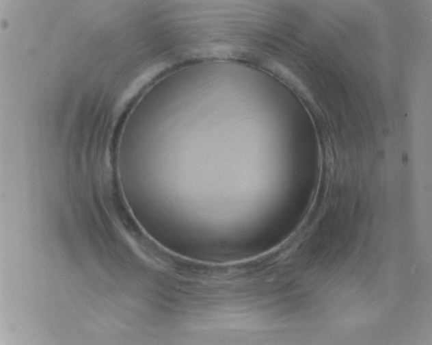 X0000075890674200610062053